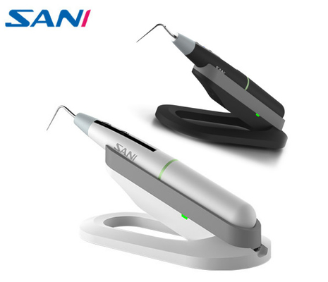 Pena indicada Endodontic do Obturation da guta- da bateria da capacidade de sistema do Obturation de SANI grande