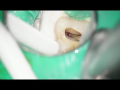 Uso dental dental de RA Burs Tungsten Carbide Burs de baixa velocidade